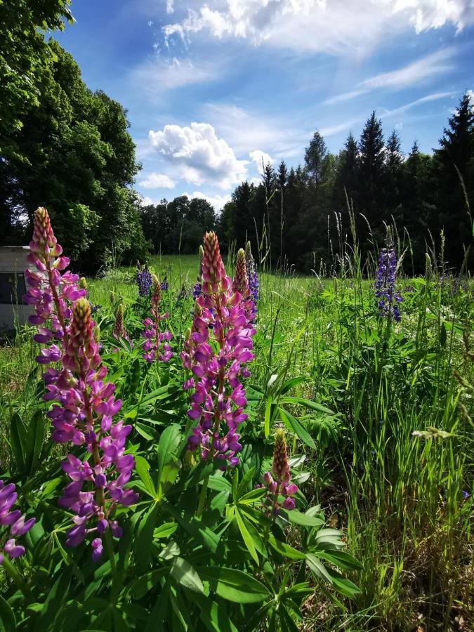 Hotel Cyklocamp Pod Landstejnem Stare Mesto  Exteriér fotografie