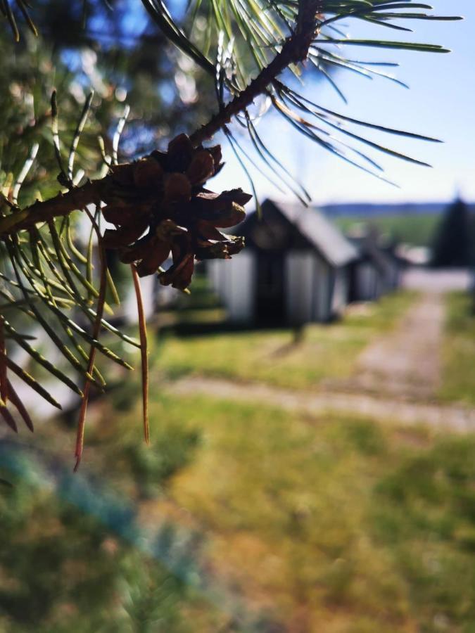 Hotel Cyklocamp Pod Landstejnem Stare Mesto  Exteriér fotografie